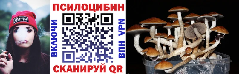 Галлюциногенные грибы мицелий  Пудож 